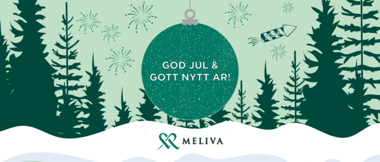 Jul och nyår